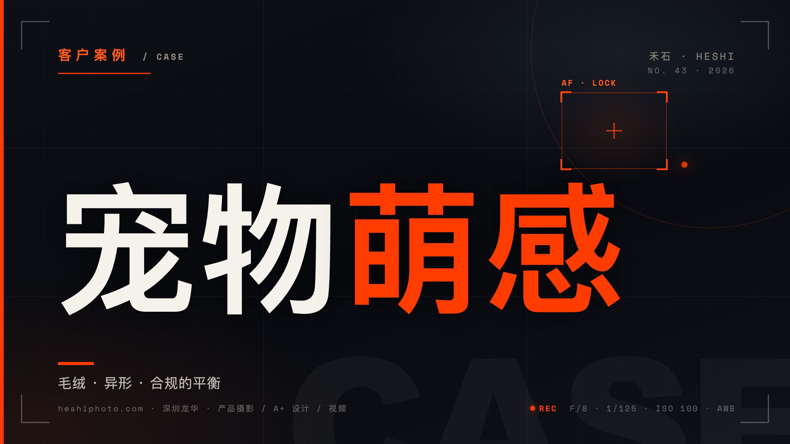宠物用品商业摄影拍摄实景